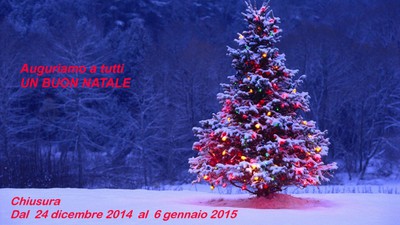 albero3