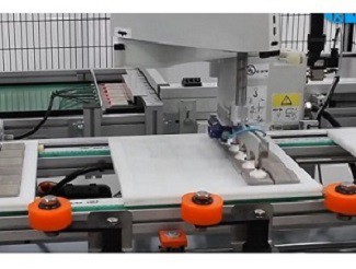 4 - Robot Mosaic Fast Picker alimentato da Vuototecnica Fast Vacuum Generator